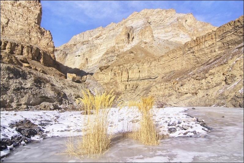 zanskar chadar trek