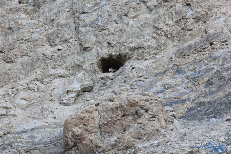 zanskar chadar trek