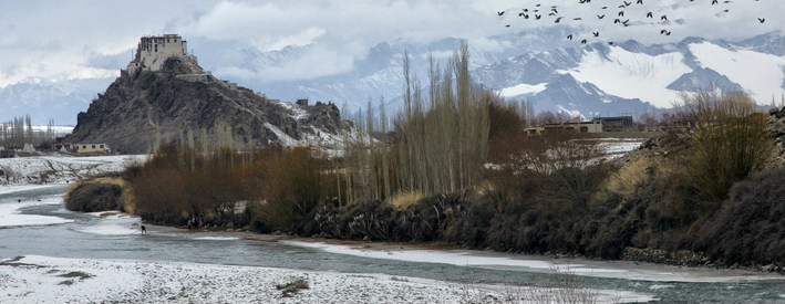 chadar trek